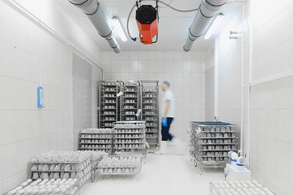 Worker in insulated gear checking stock in a cold room