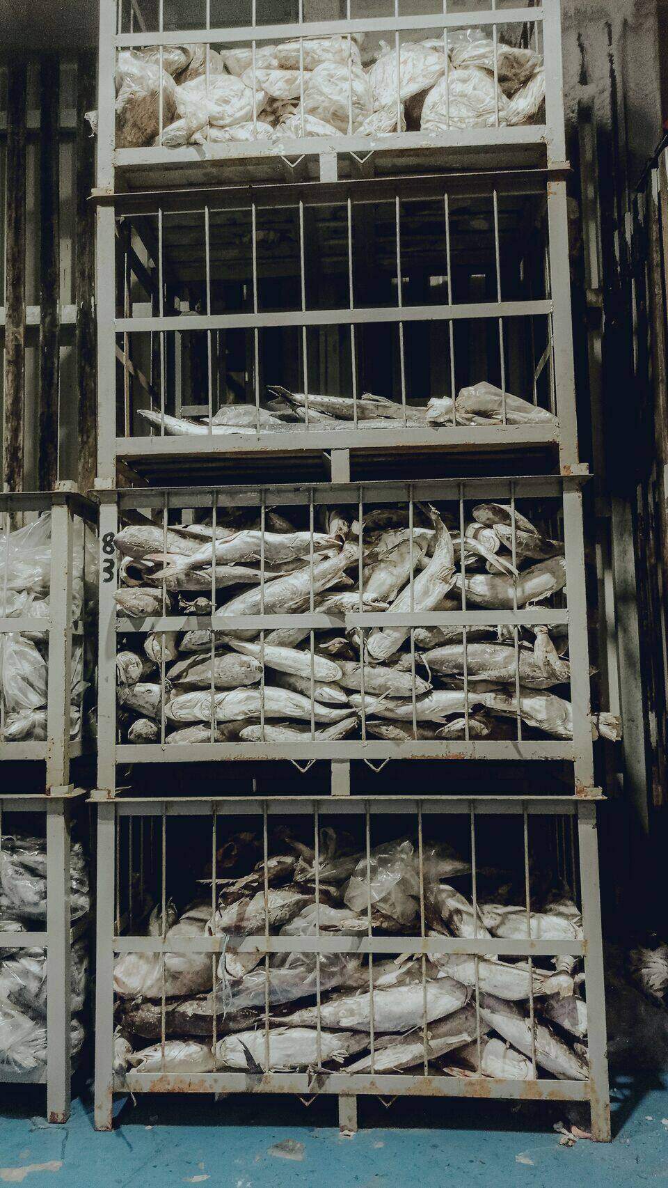 Frozen goods in metal totes