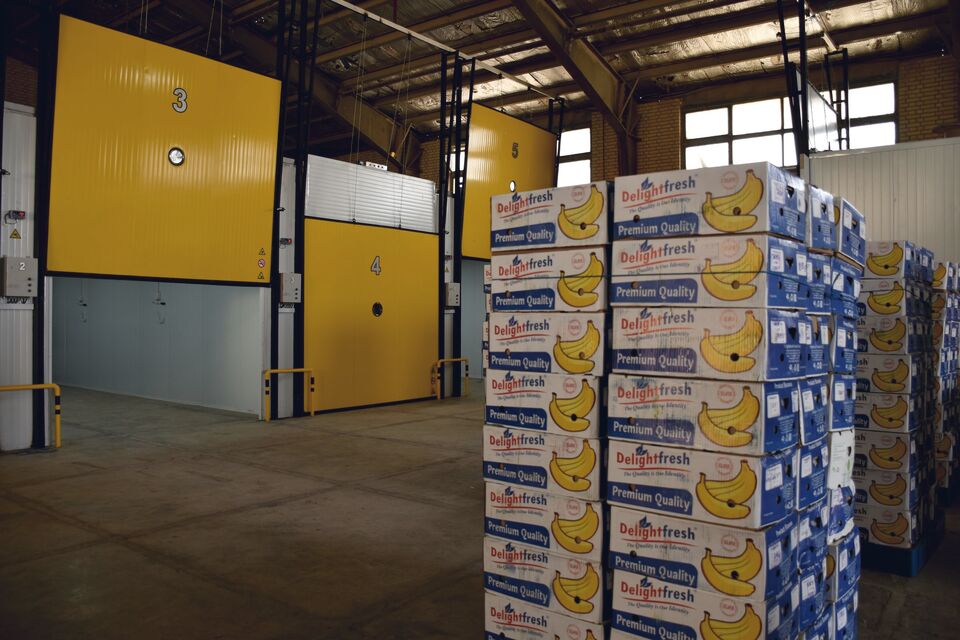 Temperature-controlled storage chambers
