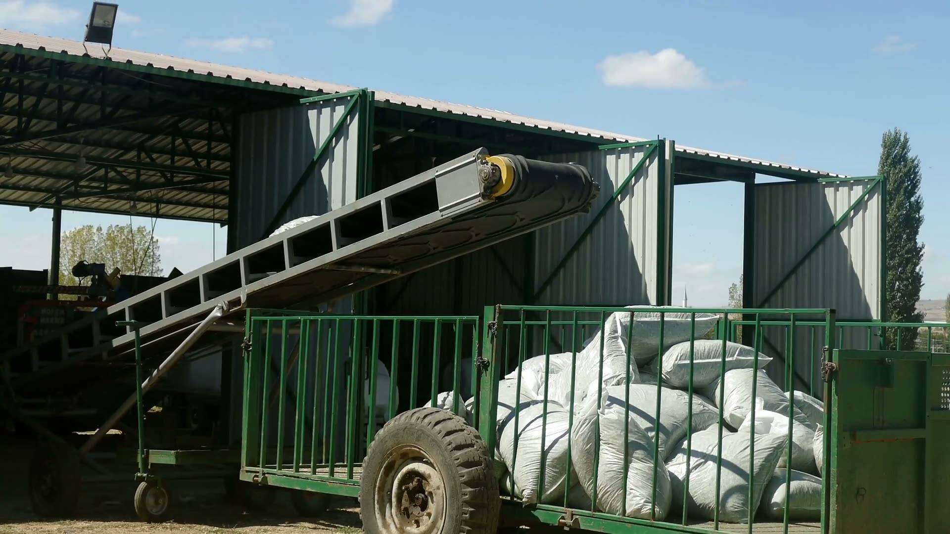 Cartons moving up a conveyor into a trailer